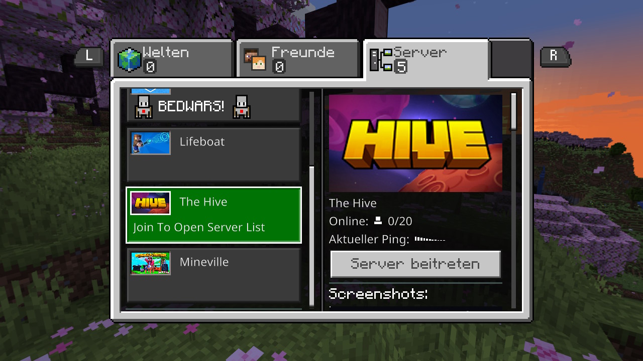 Switch Screenshot - Minecraft Serverauswahl